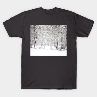 Snowfall T-Shirt